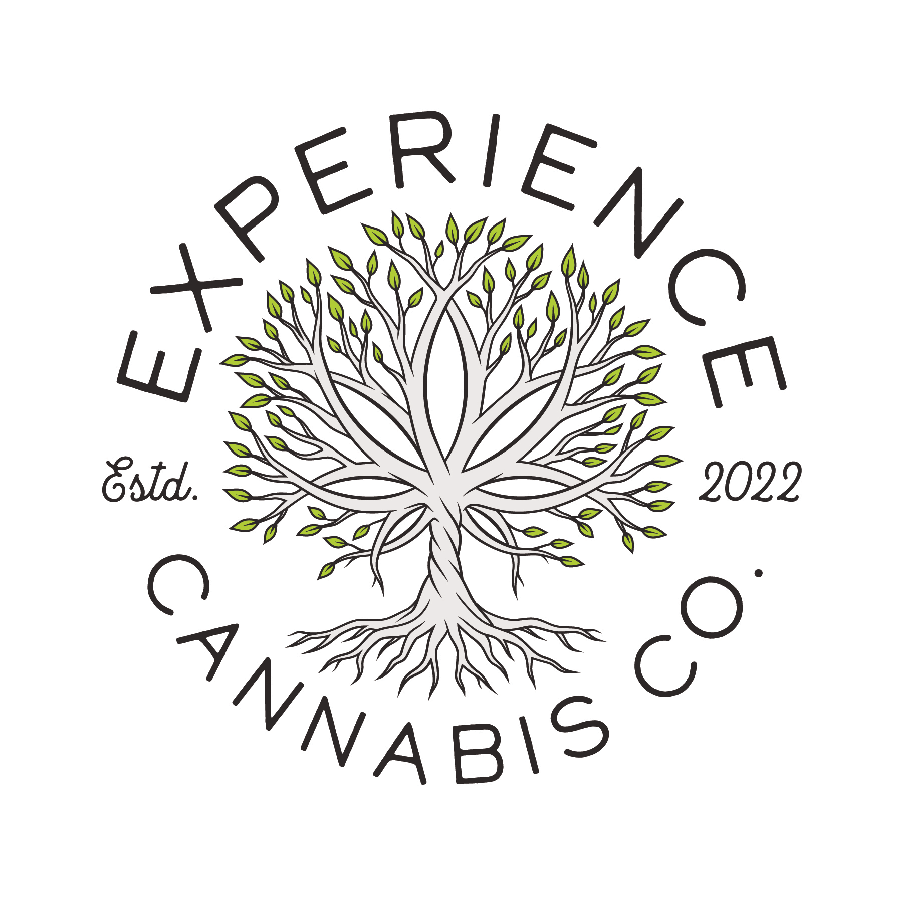 Experience